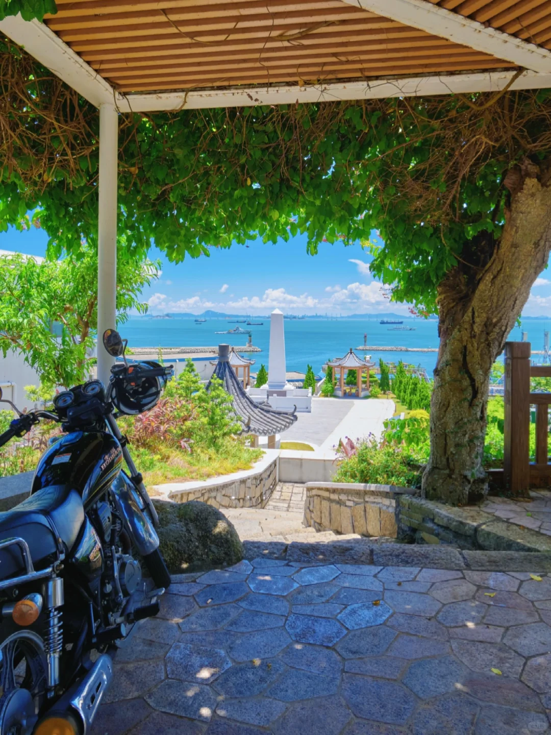 我心中的蓝海绿洲‼️珠海这个避世小岛太美了