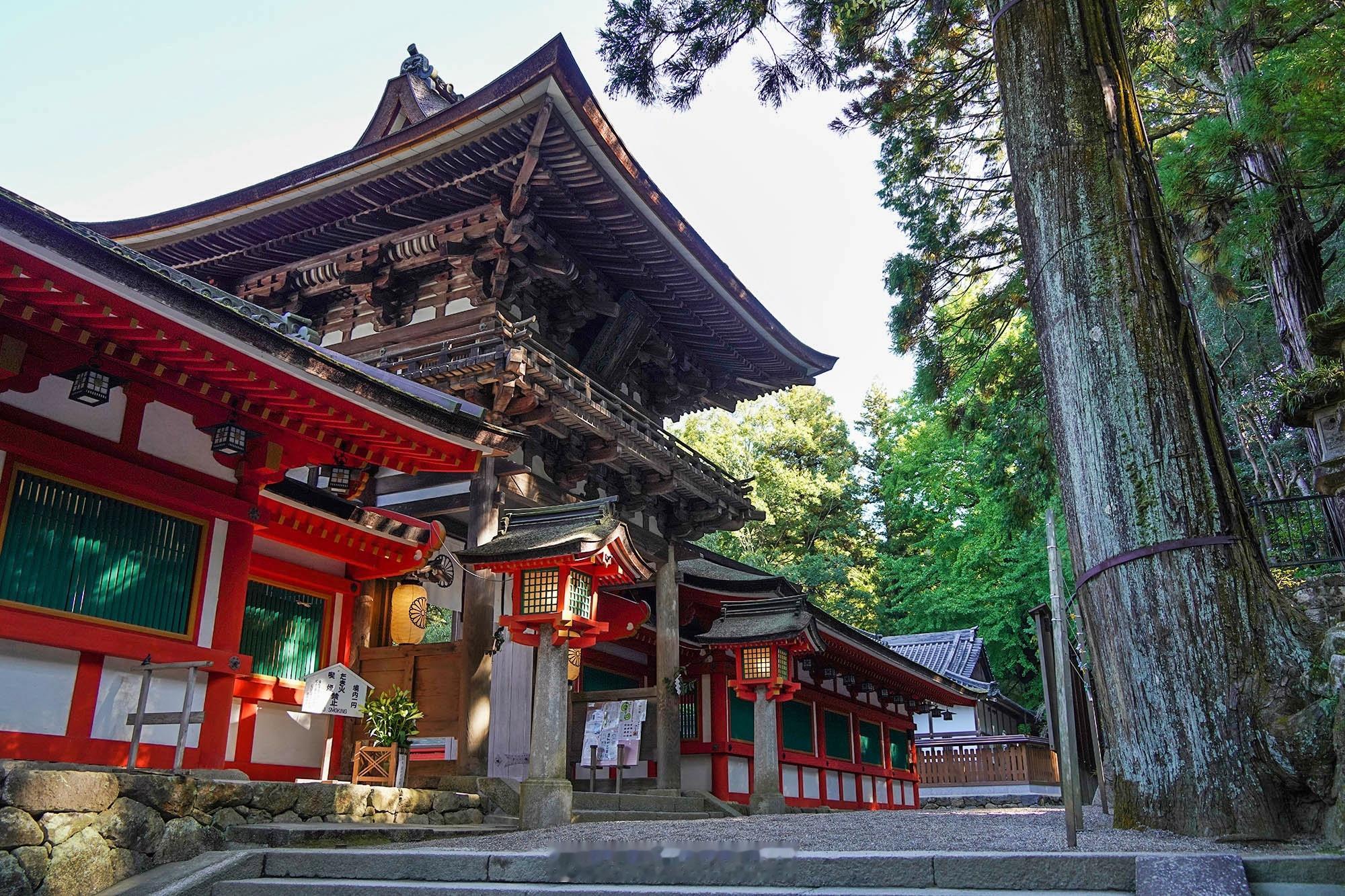 奈良旅行 | 和伊势神宫一样古老神宫有个“起死回生”御守奈良县天理市的石上神宫位