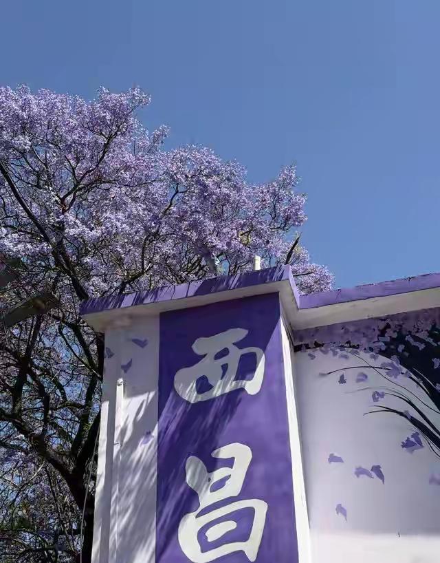 被上海地铁门夹了三次后，我没报警，也没投诉。我把工资卡里最后那点余额兑成了一张去