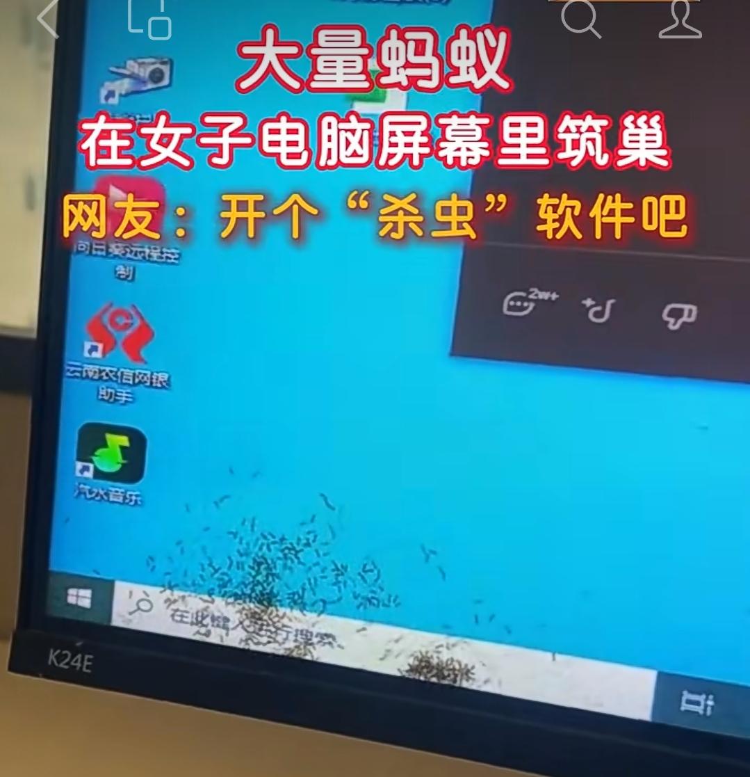 大开眼界，闻所未闻！
云南临沧一位女士，用了六年的显示器，里面被蚂蚁安了家。
