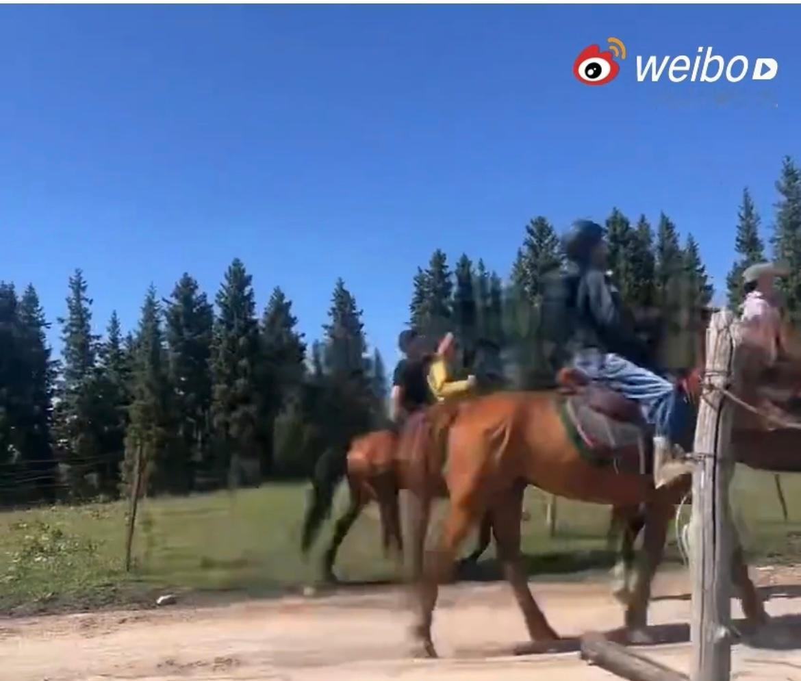 李宇春辛芷蕾骑马神错位以为李宇春辛芷蕾骑一匹马 第一眼真的以为她俩骑一匹马！靠得