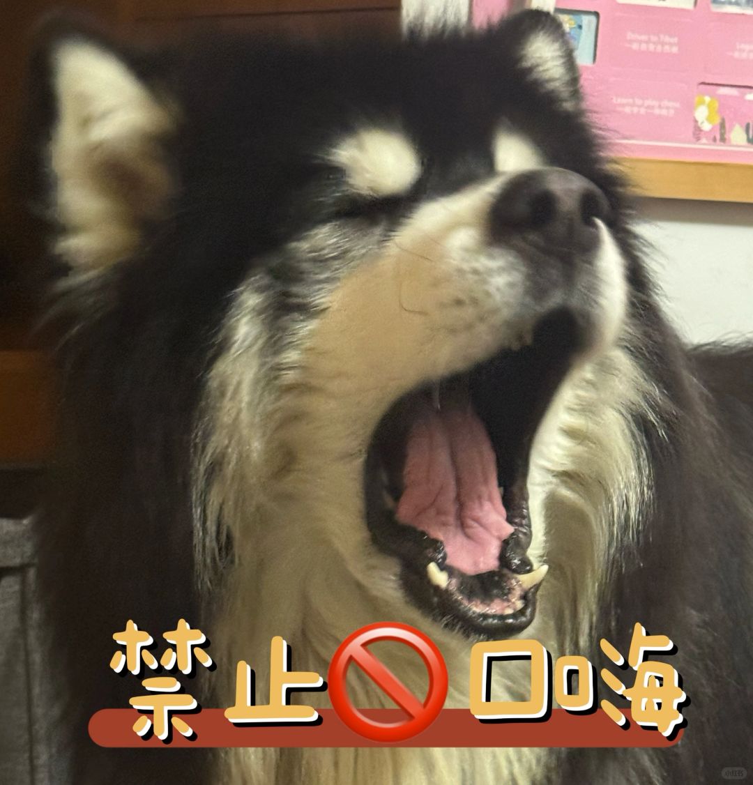 🚫