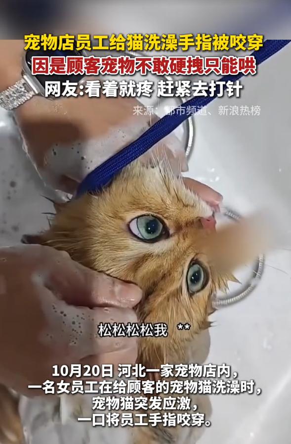 可悲！河北一家宠物店内，一名女员工正给顾客送来的猫咪洗澡，猫咪突然一口死死咬住她