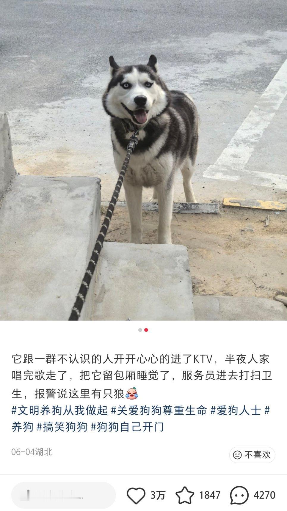 神人碰上神经狗，一拍即合了也是！ 