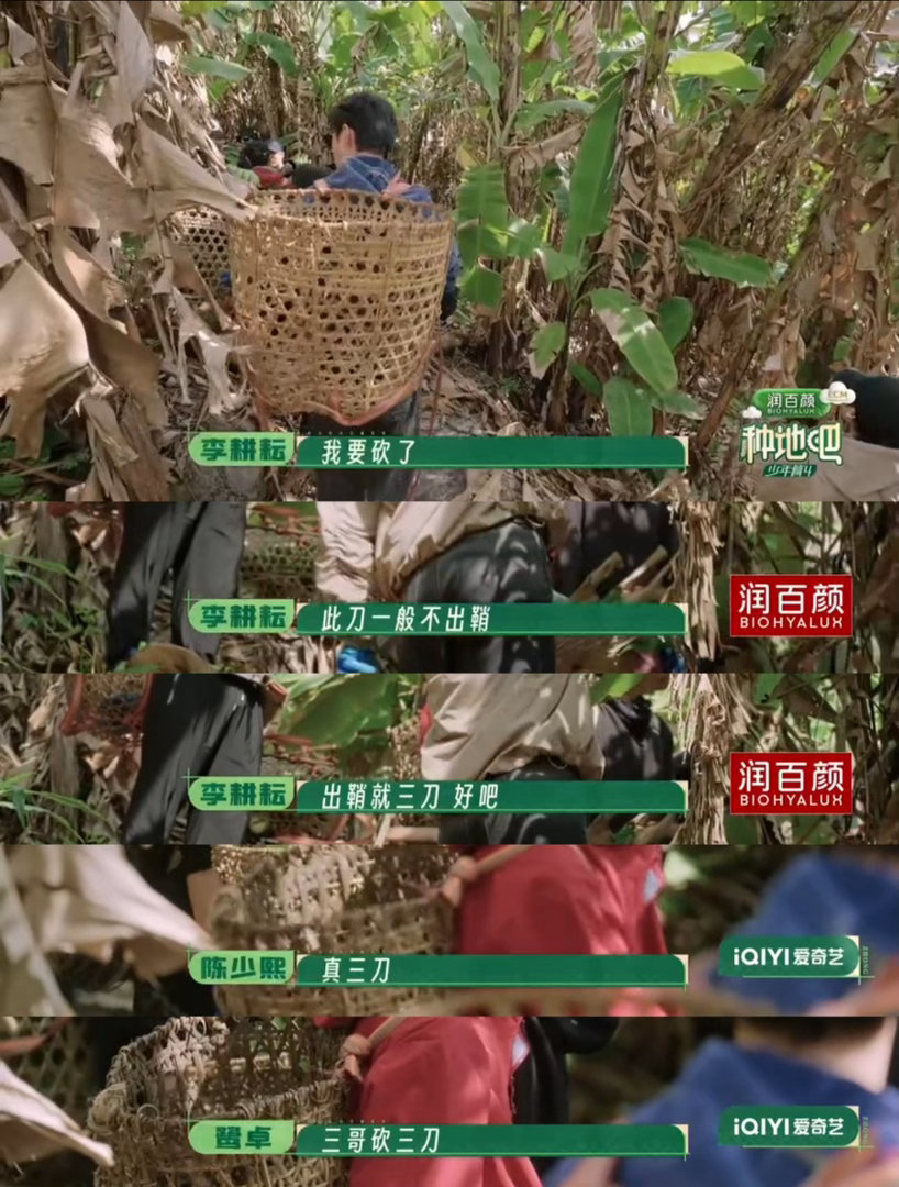十个勤天十个刀郎 禾伙人的热梗比我网速还快，这边香蕉刚砍完，那边十个刀郎已经热搜