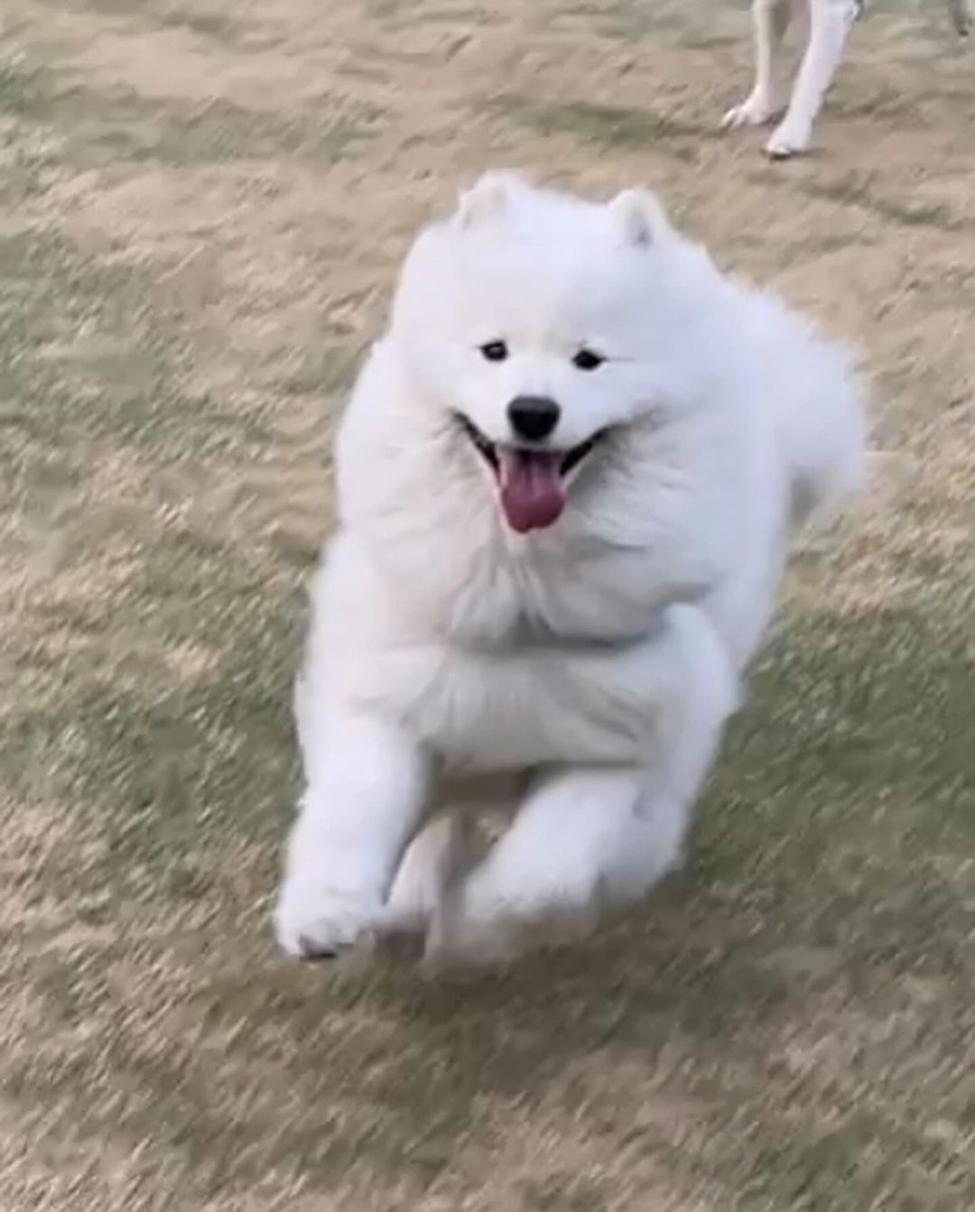 周五下班的我be like 