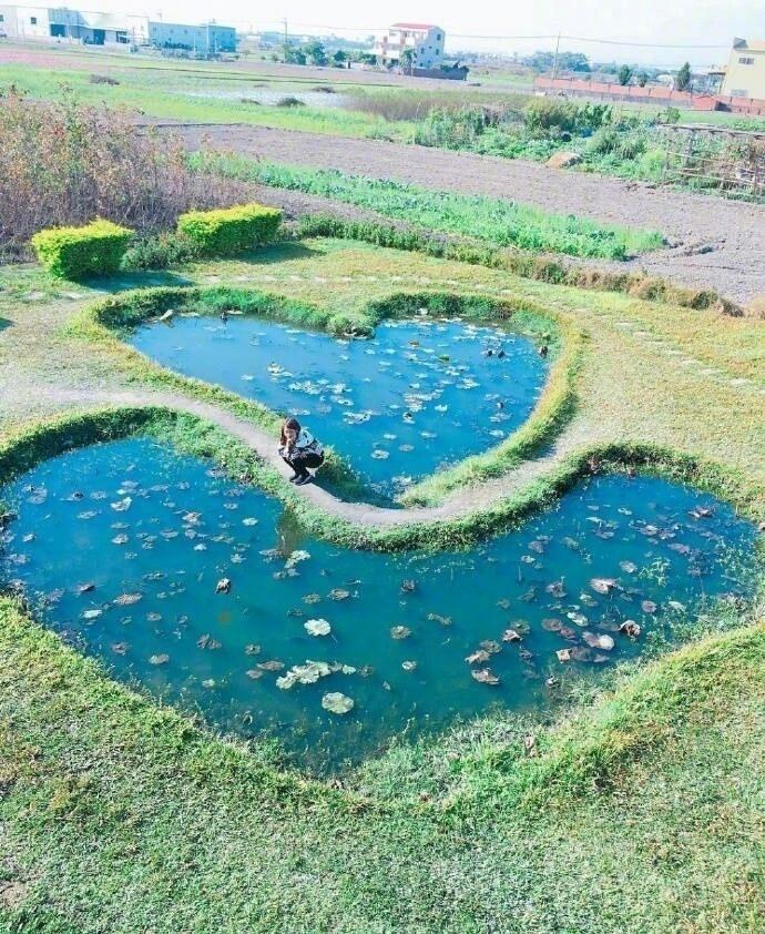 愿你有好运气，如果没有，愿你在不幸中学会慈悲。愿你被很多人爱，如果没有，愿你在寂