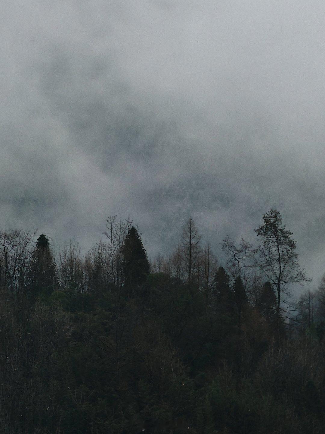 今天溜达去了西岭雪山，从昨天进了雅安后一直在下毛毛雨，刚到停车场，感觉舒服极了～