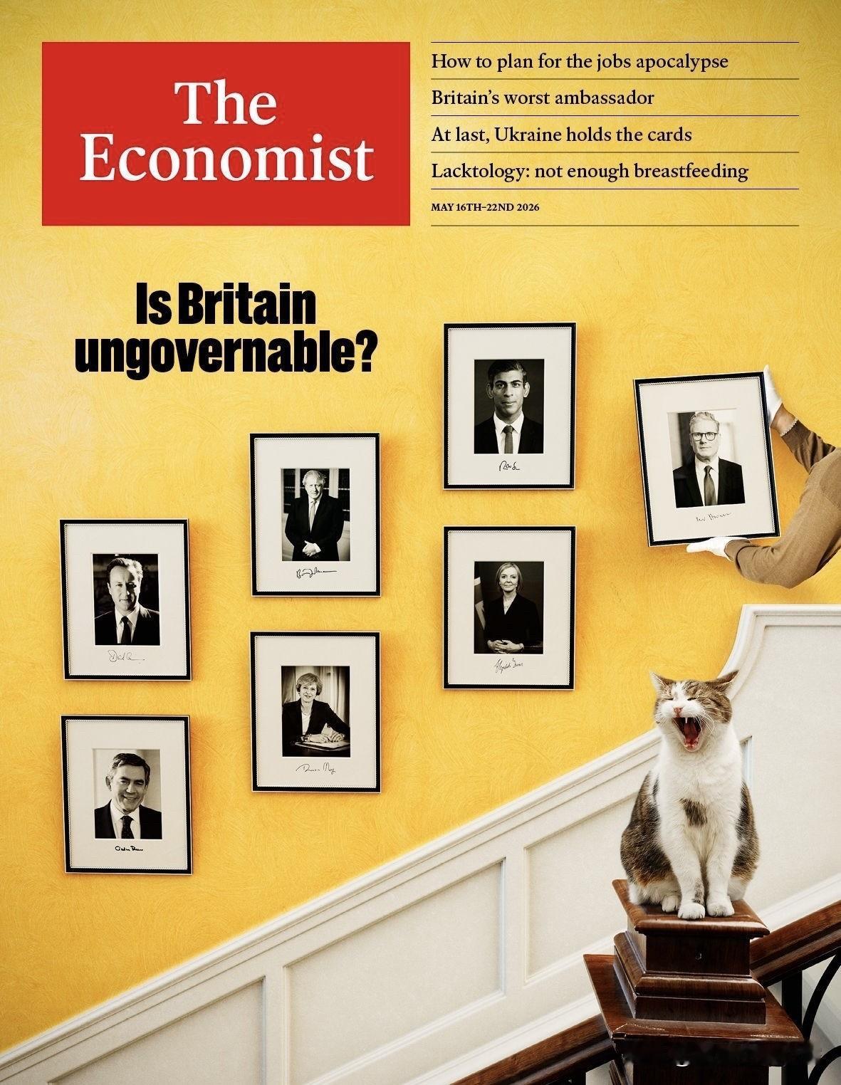 谁能想到，英国权力中心最稳的"公务员"，是一只19岁的老猫。


拉里，虎斑猫，