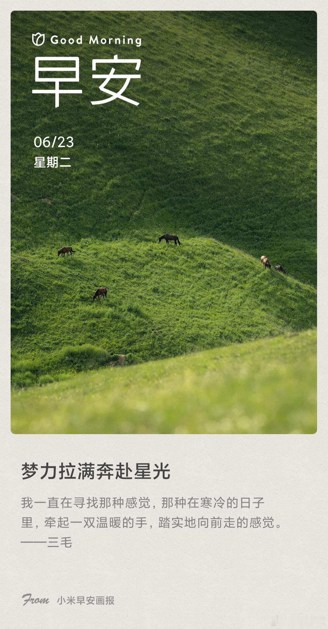 小米画报 梦力拉满奔赴星光： 我一直在寻找那种感觉，那种在寒冷的日子里，牵起一双