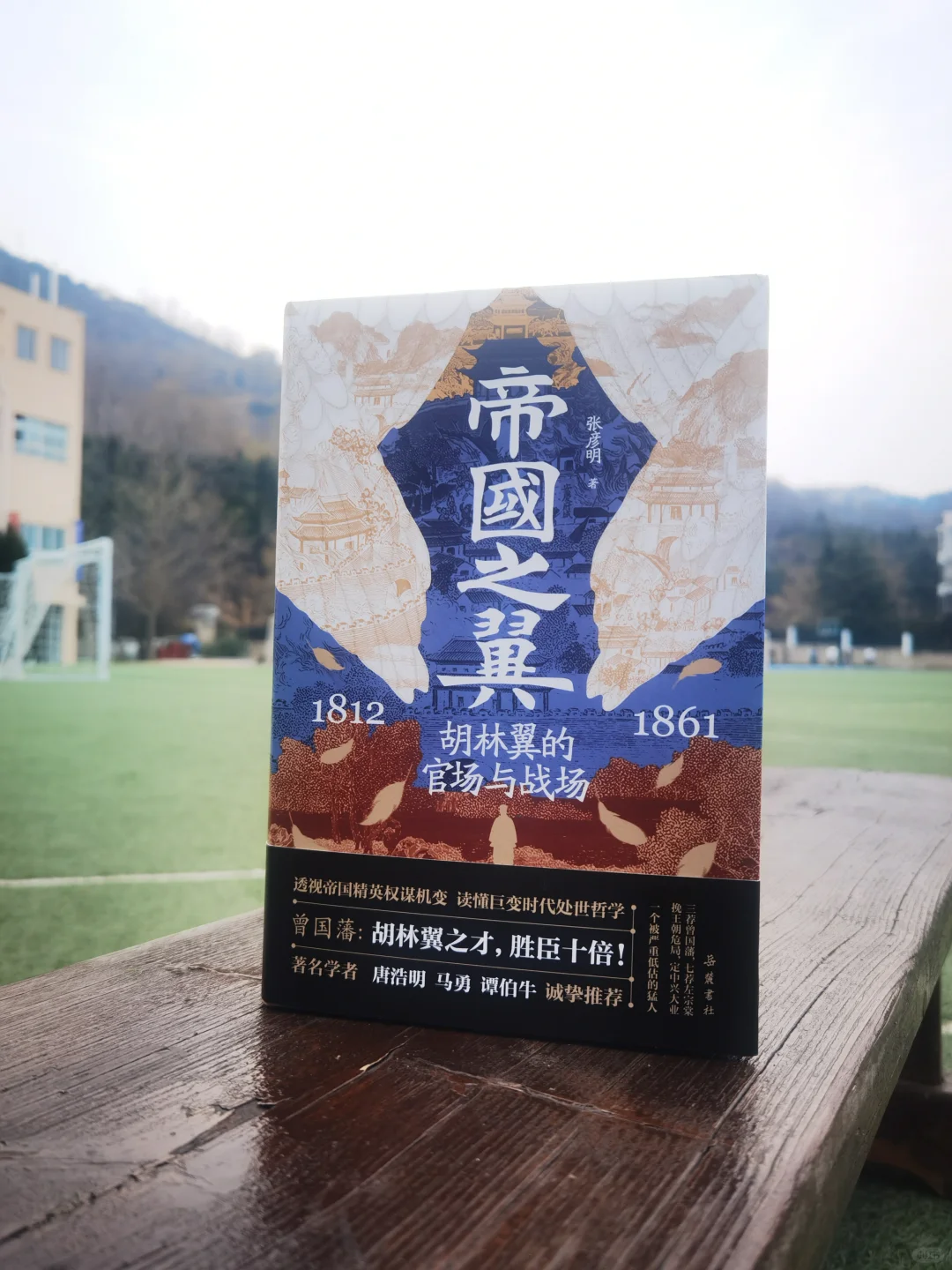 胡林翼：被低估的清朝“中兴名臣”