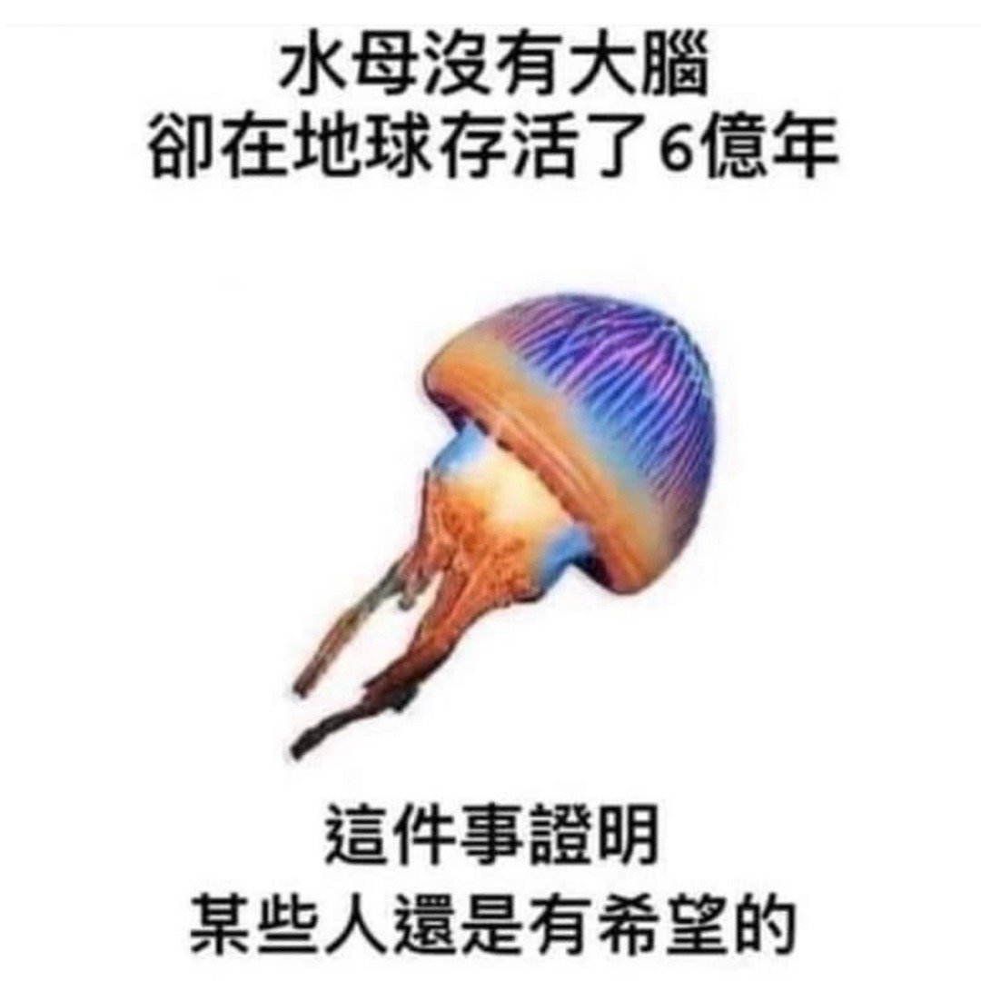 还有的救#meme# ​​​