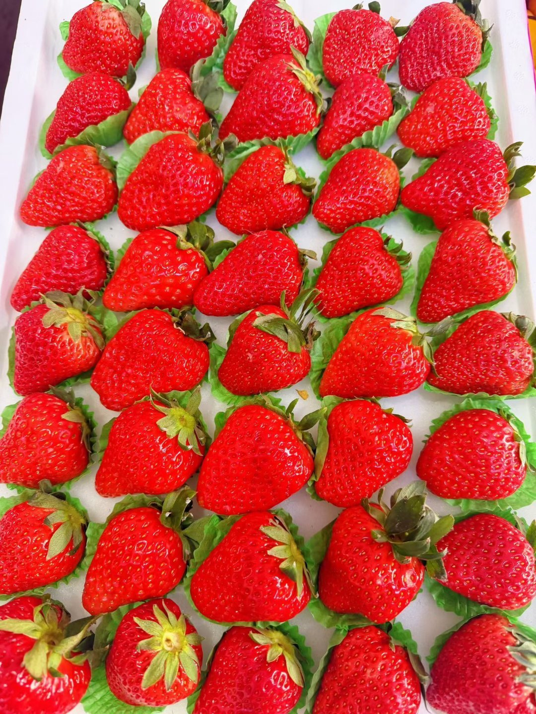 这草莓🍓谁看了会不爱吃呢