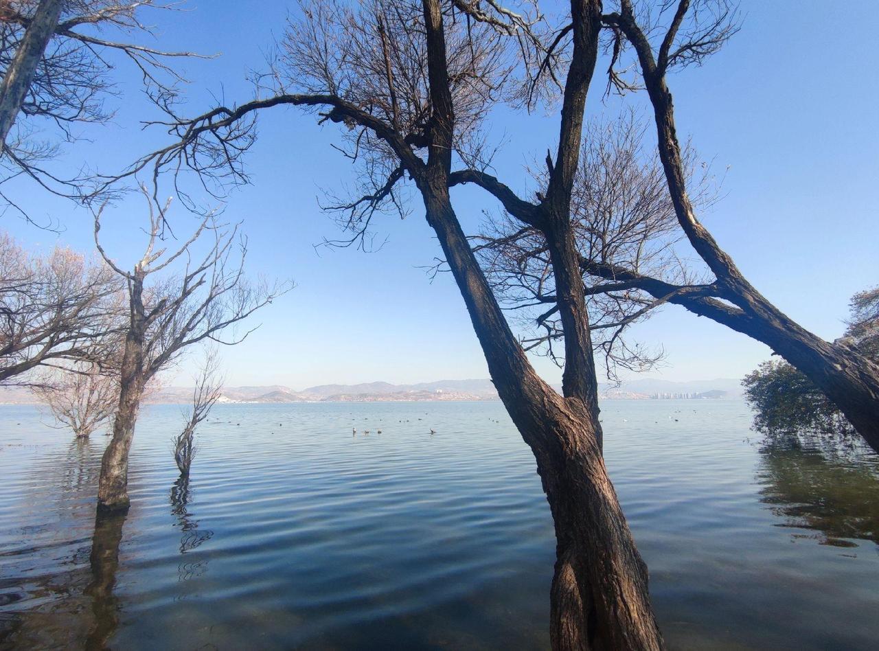我们这边很少有家长欠学费的，其主要的原因就在于家长知道我们是有专业素养的人，换一