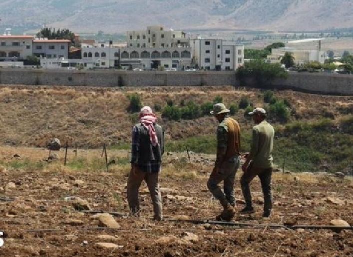 新闻快讯——黎巴嫩称以色列向南部村庄喷洒了高浓度除草剂。
消息来源——BBC