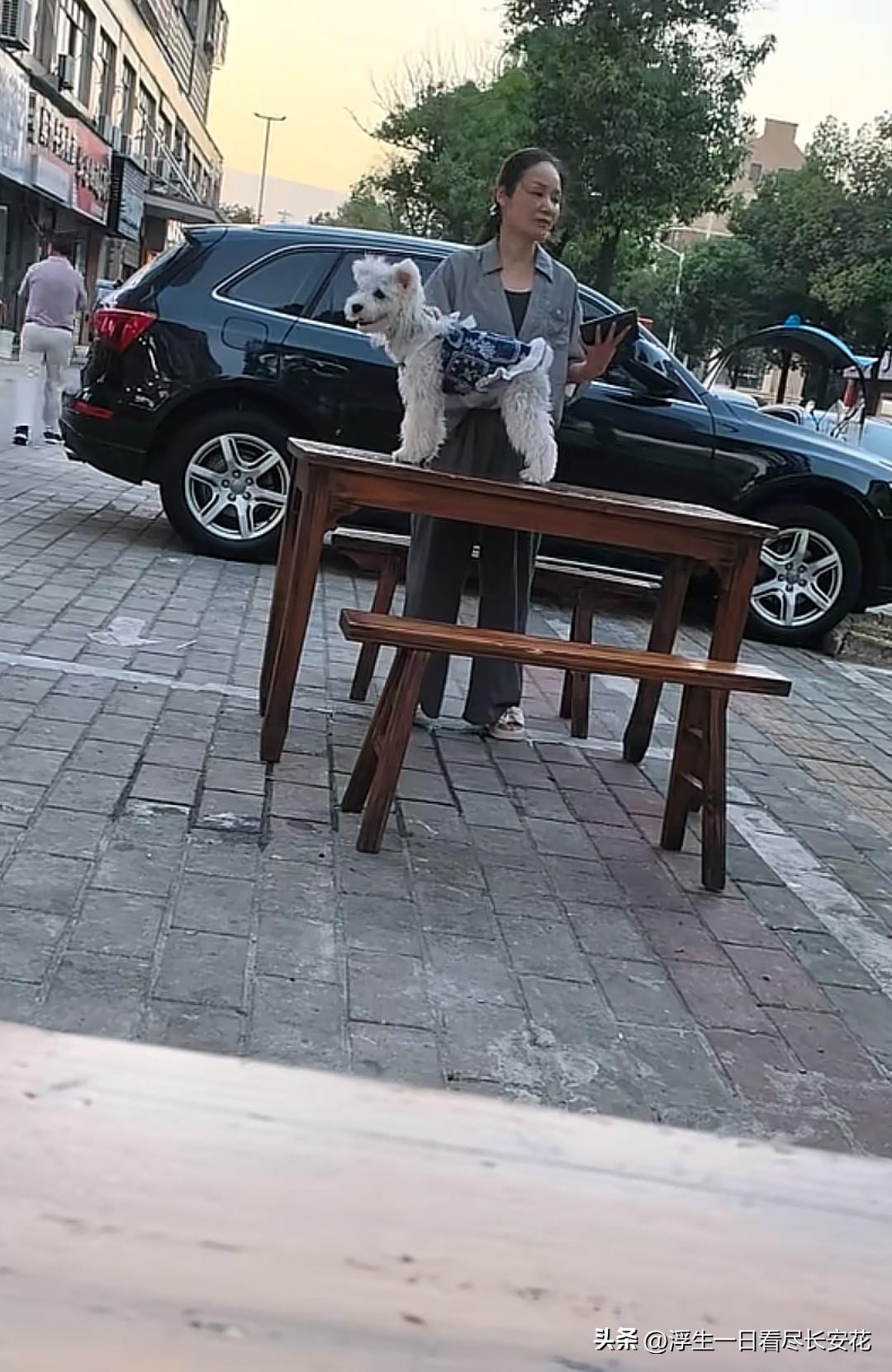 大家知道这是哪一家饭店的门口吗，养狗人的素质真的是一言难尽啊！图中这名养狗人把自