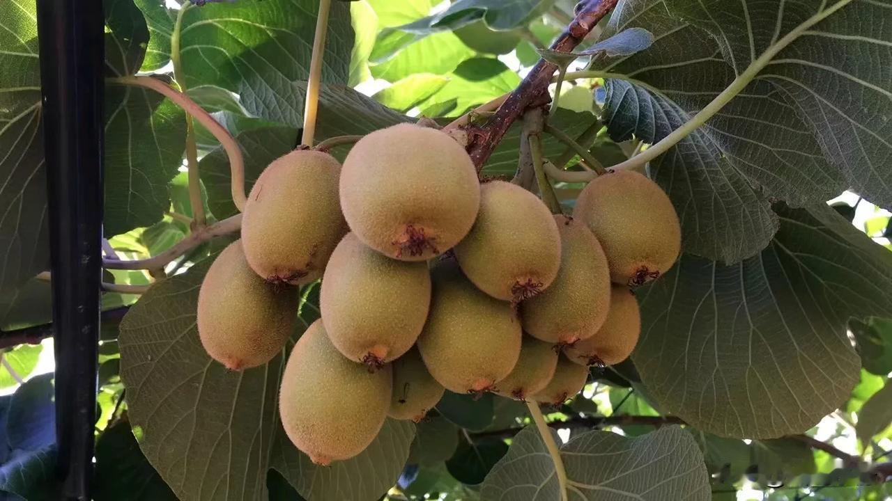 人生如戏，全靠折腾。每一次折腾都是一次淬火，让自己更加坚强、更加成熟。每一次折腾