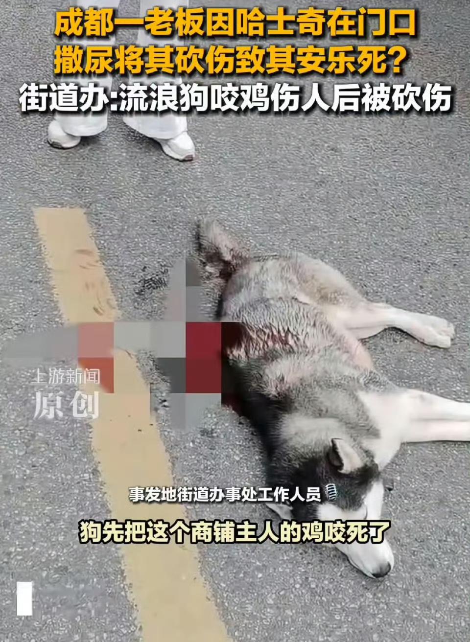 狗受伤死去确实让人揪心，
但这事得先弄明白前因后果吧？
大街上出现流浪狗不让管不