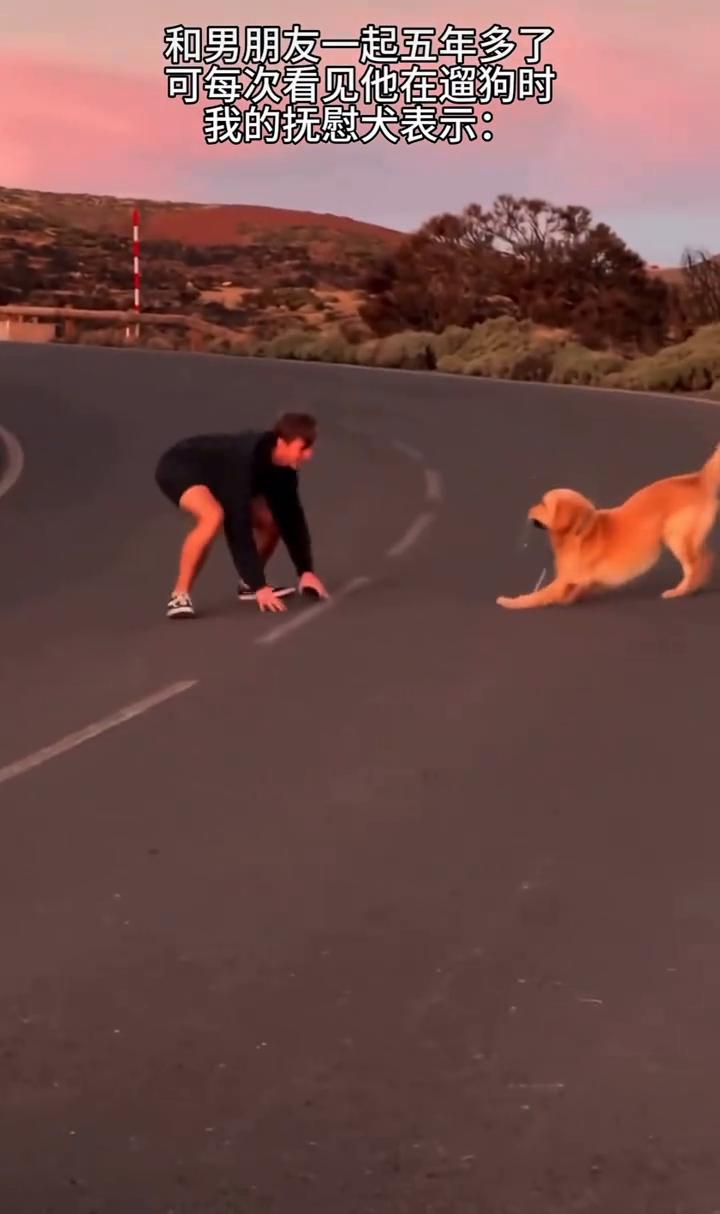 和男朋友一起五年多了，可每次看见他在遛狗时，我的抚慰犬表示：“我的狗狗很可爱。”