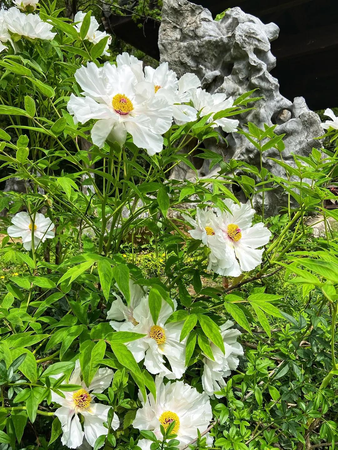 老了以后才懂得：

1、小事找女儿，大事找儿子。
2、先疼小再疼老，这就是人性！