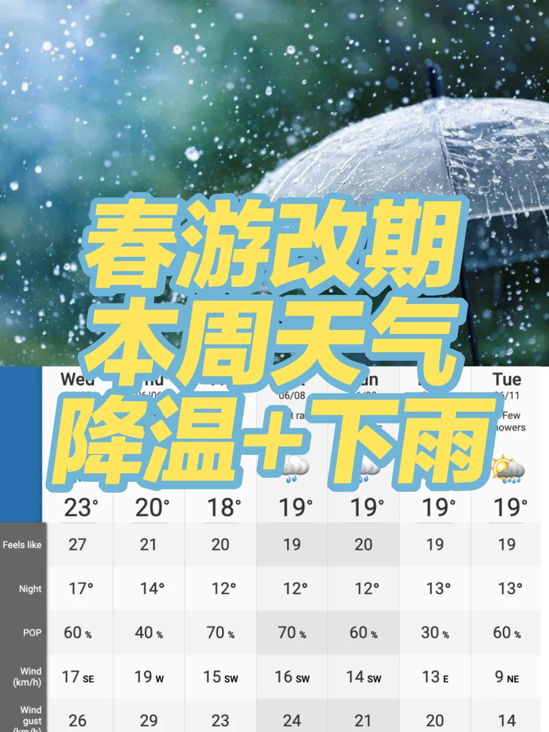 计划有变❗多伦多明天开始下雨降温到周末