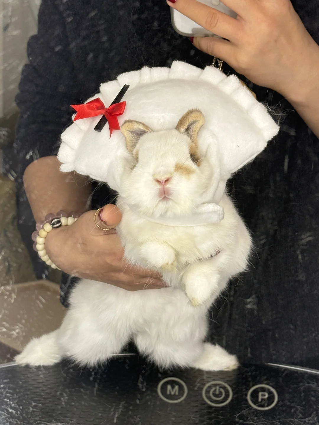 我们家乡的饺子长这样