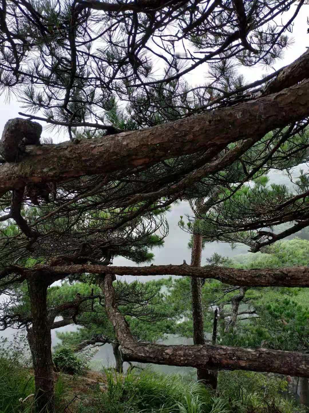 我是53岁那年，明显感觉衰老了。
我说说真实感受吧。
那年下半年，我因为在私立学