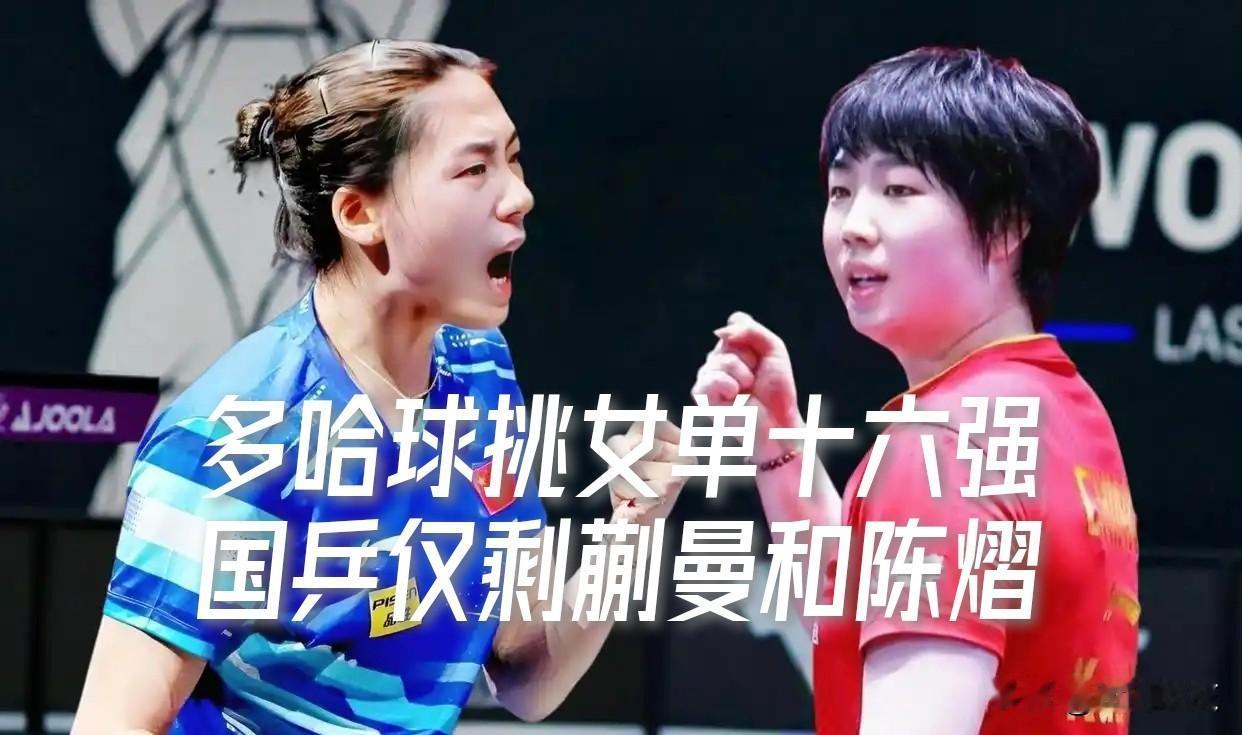 【多哈球挑女单次轮战罢！国乒女单十人仅剩蒯曼和陈熠！】

多哈球星挑战赛，国乒女