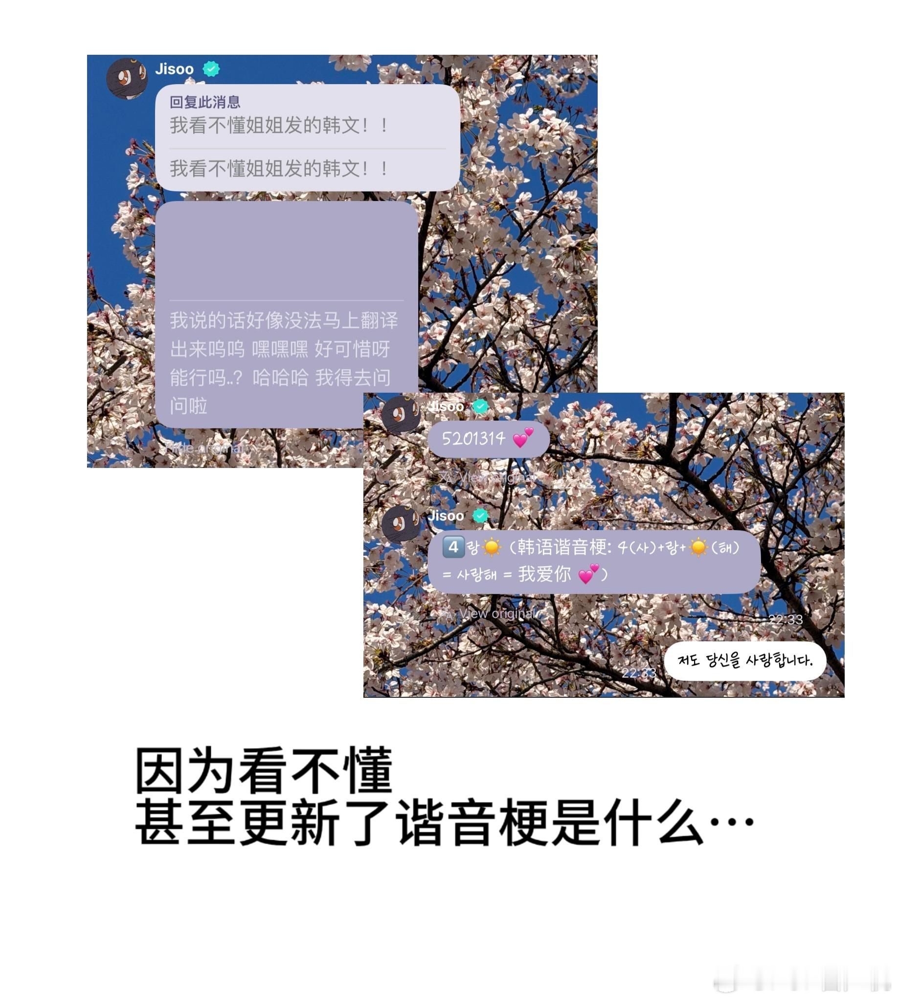 金智秀自己的泡泡软件更新 贴心的翻译了不懂韩语音译的谐音梗 