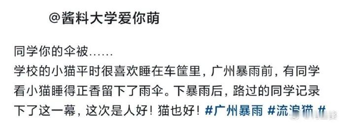 下雨天网友们给流浪猫咪撑伞，被温暖到了[送心]前段时间广州暴雨，有网友晒出了温暖