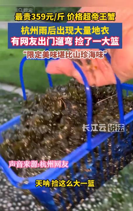 谁说天上不会掉馅饼？杭州，连日大雨后，市民惊讶地发现，小区草坪和公园里一夜之间长