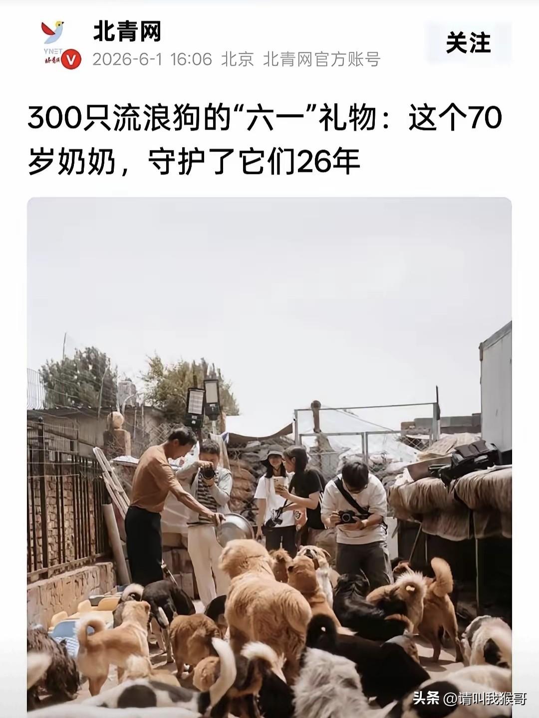 活着的时候过六一，死了之后办葬礼，这个世界终于变成了我不认识的样子了。