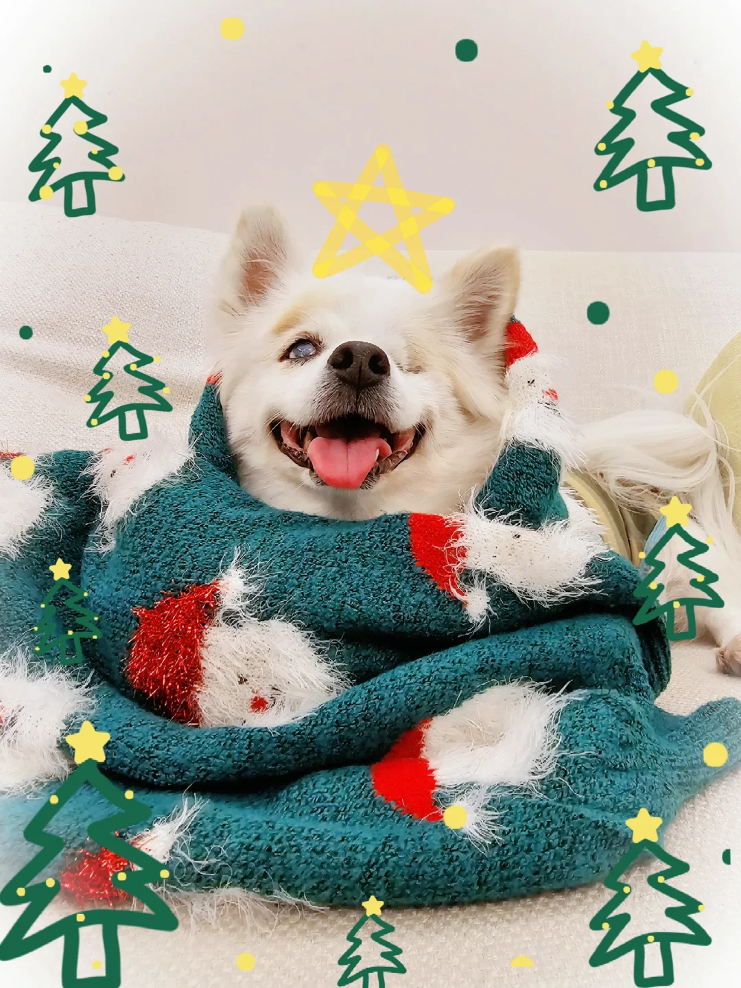 圣诞快乐✨ 我们依旧是最亮的那颗星