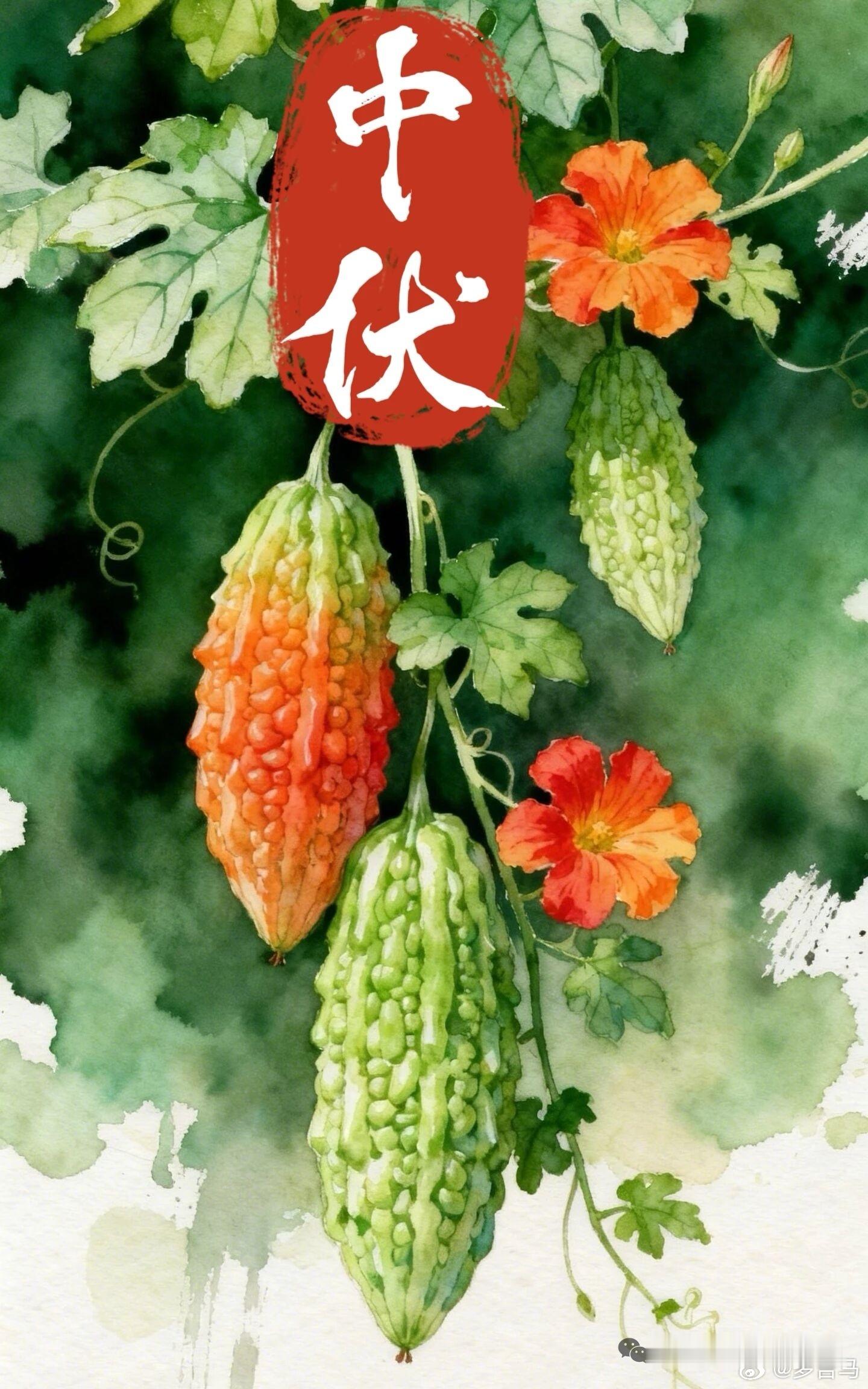 能相守一生的婚姻，从不是捆绑，是懂得与成全。          ——杨绛情感语录