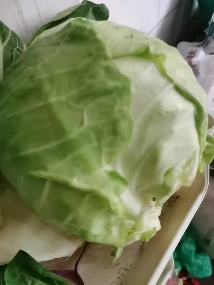 西方现在生育率很低，所以没有了那种现象，过几年我们也不会有那种观念了[尬笑][作