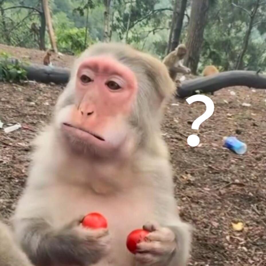 俾县给杨超越编瓜是有💰拿吗 