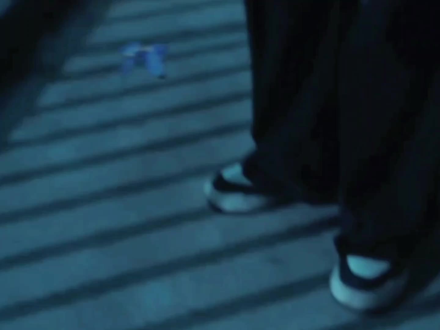 用蝴蝶标记抹杀贾小朵