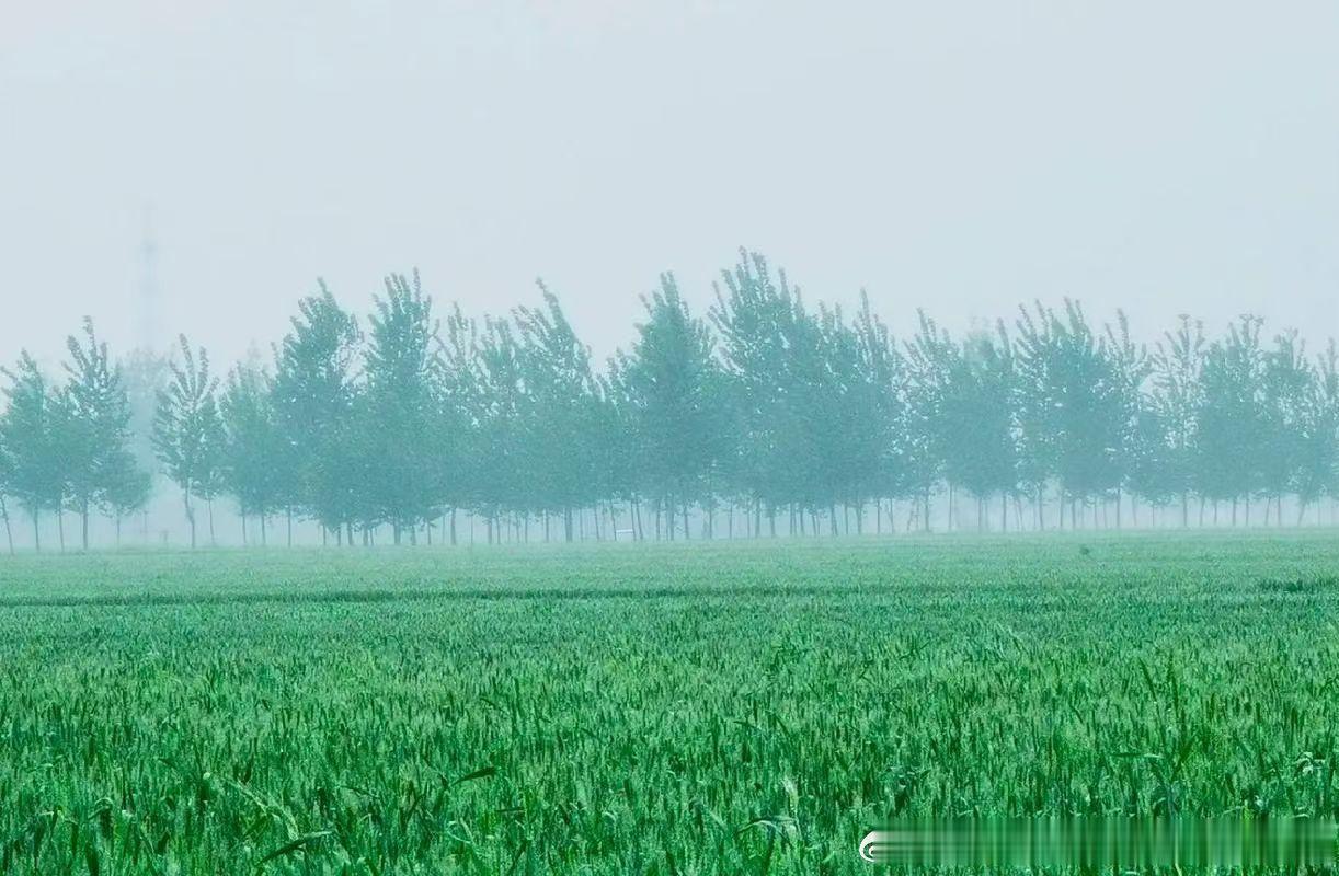 明天继续吃大面