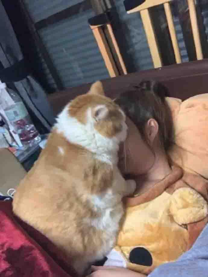 卖猫的跟我姐说，这是只长不大的猫。