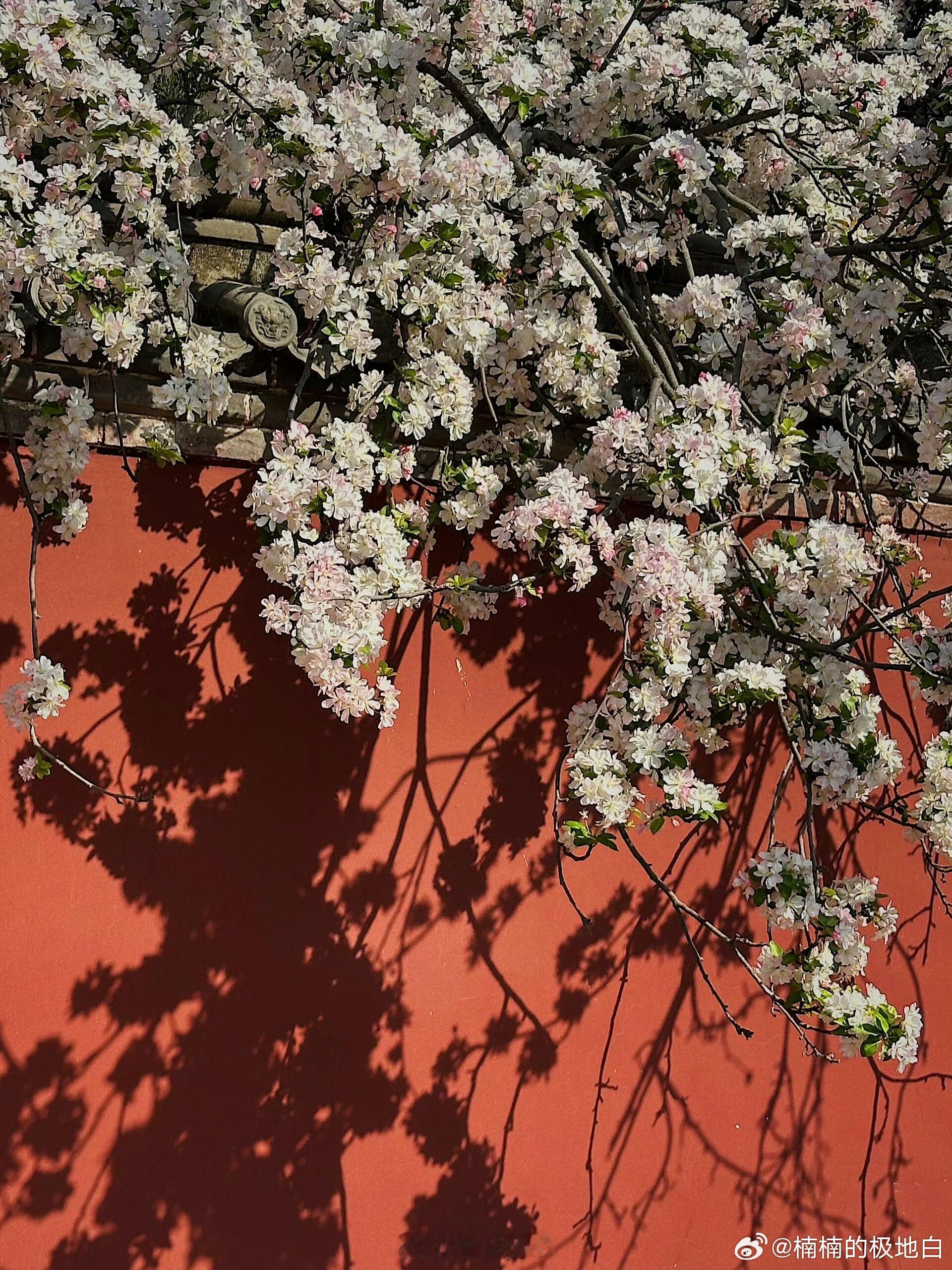 河北文旅带头插手别家文旅大事🌄这么近那么美，五一相约河北！河北文旅创意发文抢客