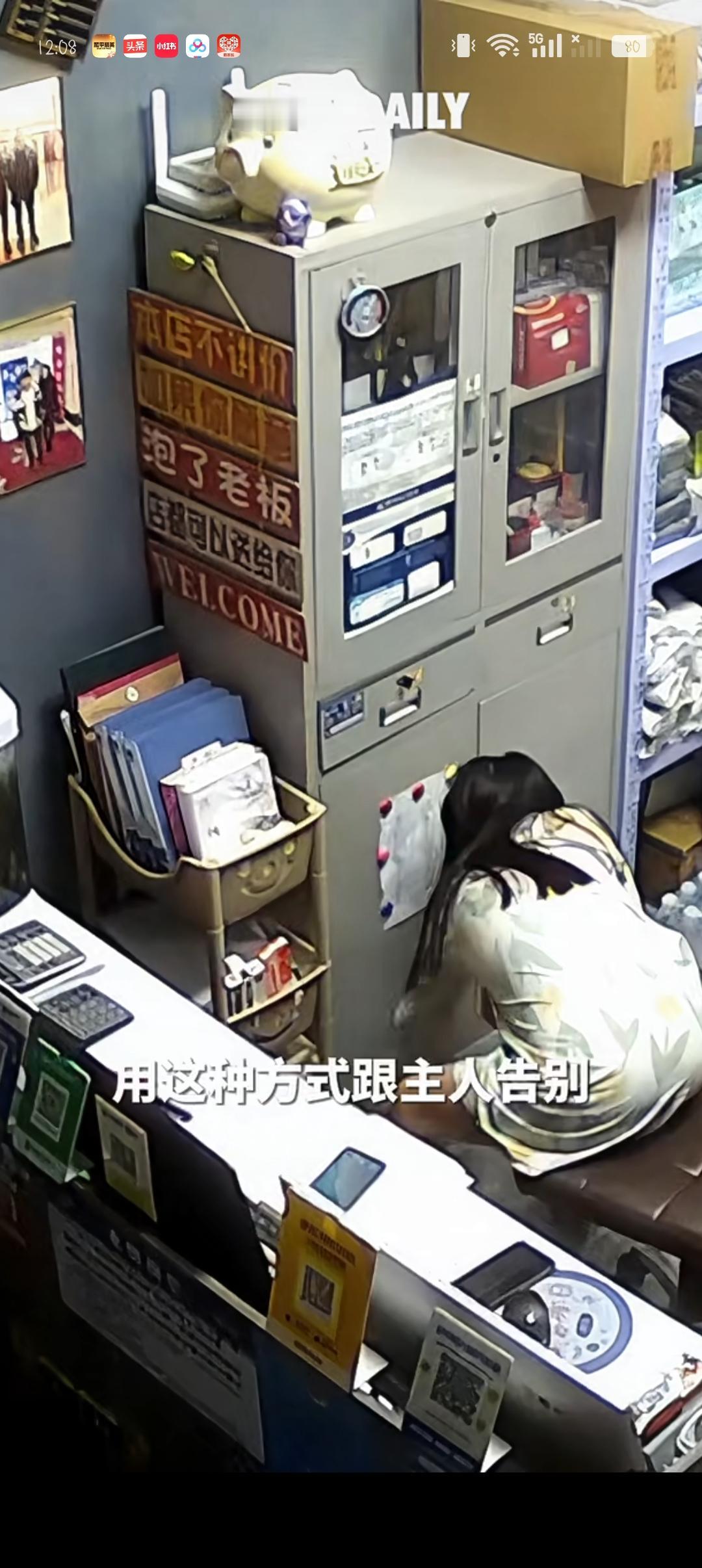 猫咪仿佛有预感，离世前特意与主人告别。网友：动物有灵，令人动容。

这不是电视剧