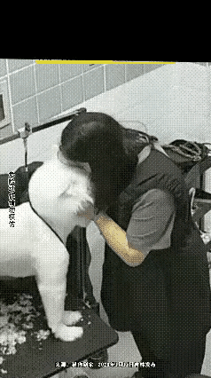 和狗狗亲昵可得悠着点啊！长沙有个47岁女子，两个月前被自家幼犬轻咬了左手无名指，