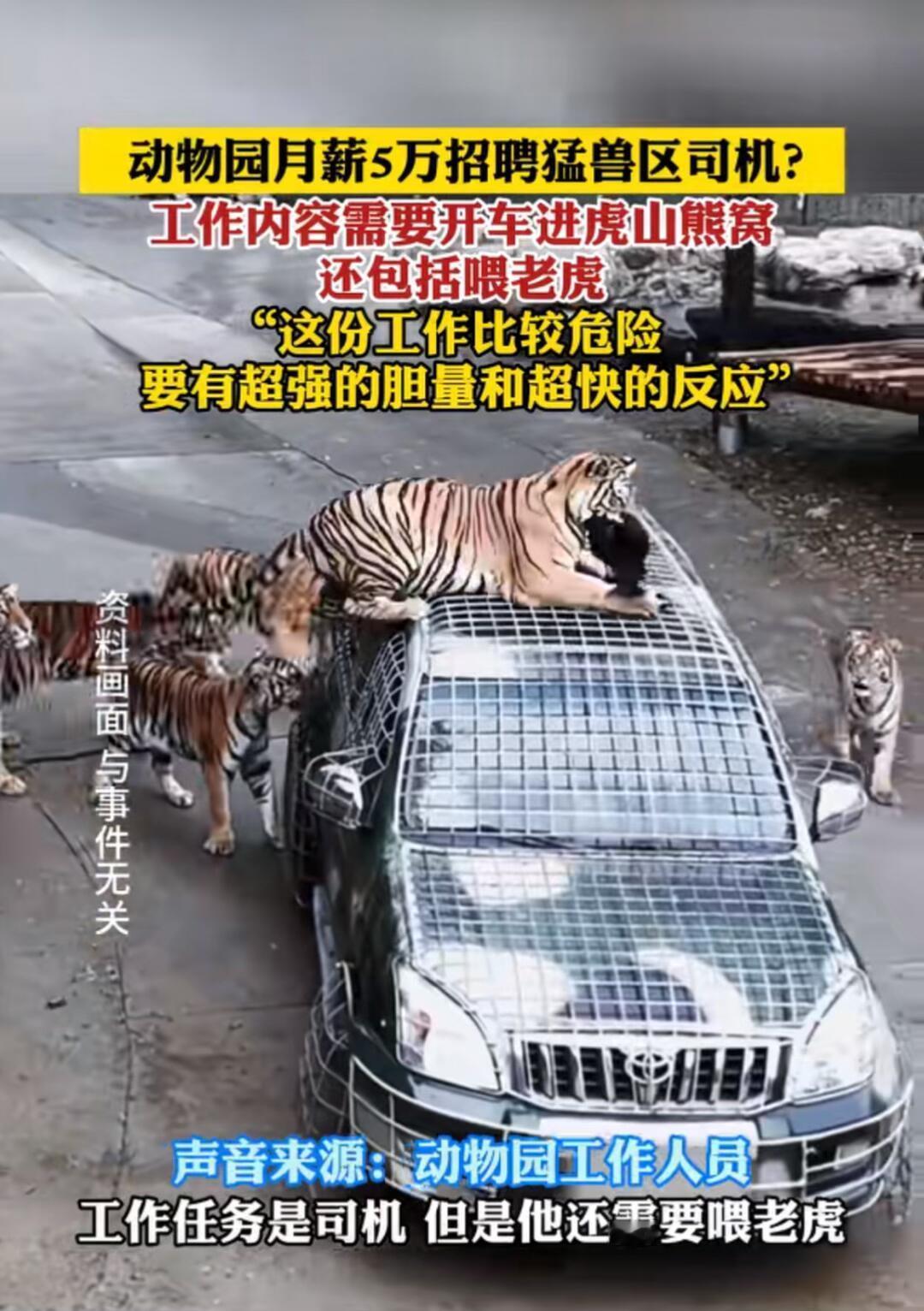 卧槽动物园招司机月薪五万？这价格放出来，估计一万块钱的岗位都得抢破头，五万怕不是