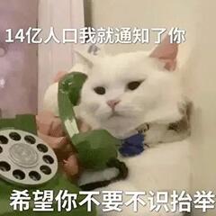 𝗦𝗛𝗔𝗥𝗘 - 最近爱用的聊天表情包 盛夏壁纸大放送动漫仲夏狂欢季