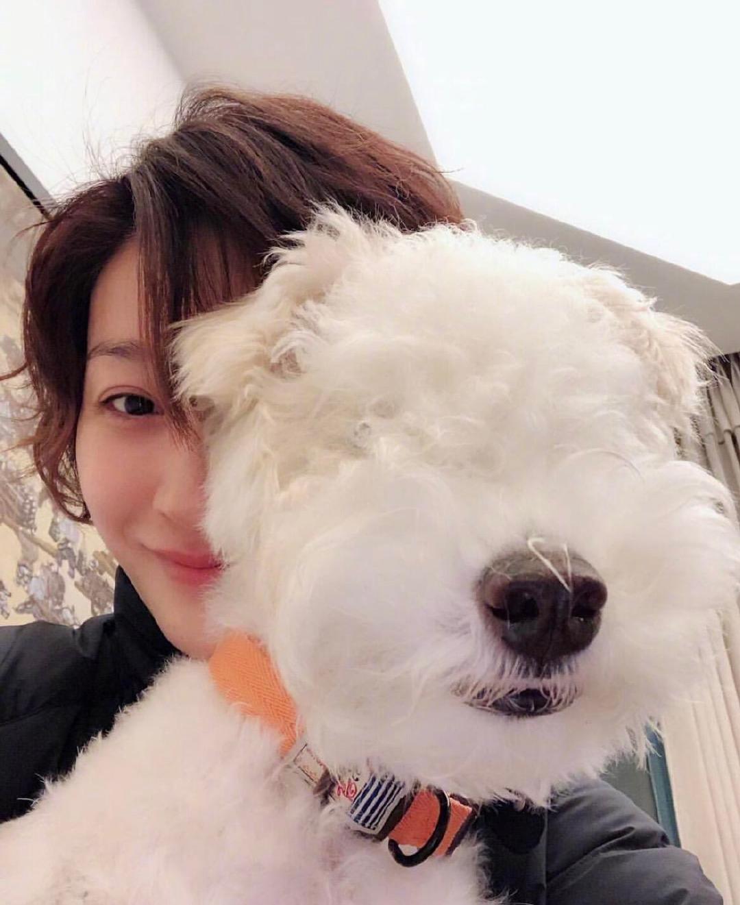 李小冉录节目哭了李小冉听领养义工讲话哭了不想睡的星期五同为养狗人狠狠共情，李小冉
