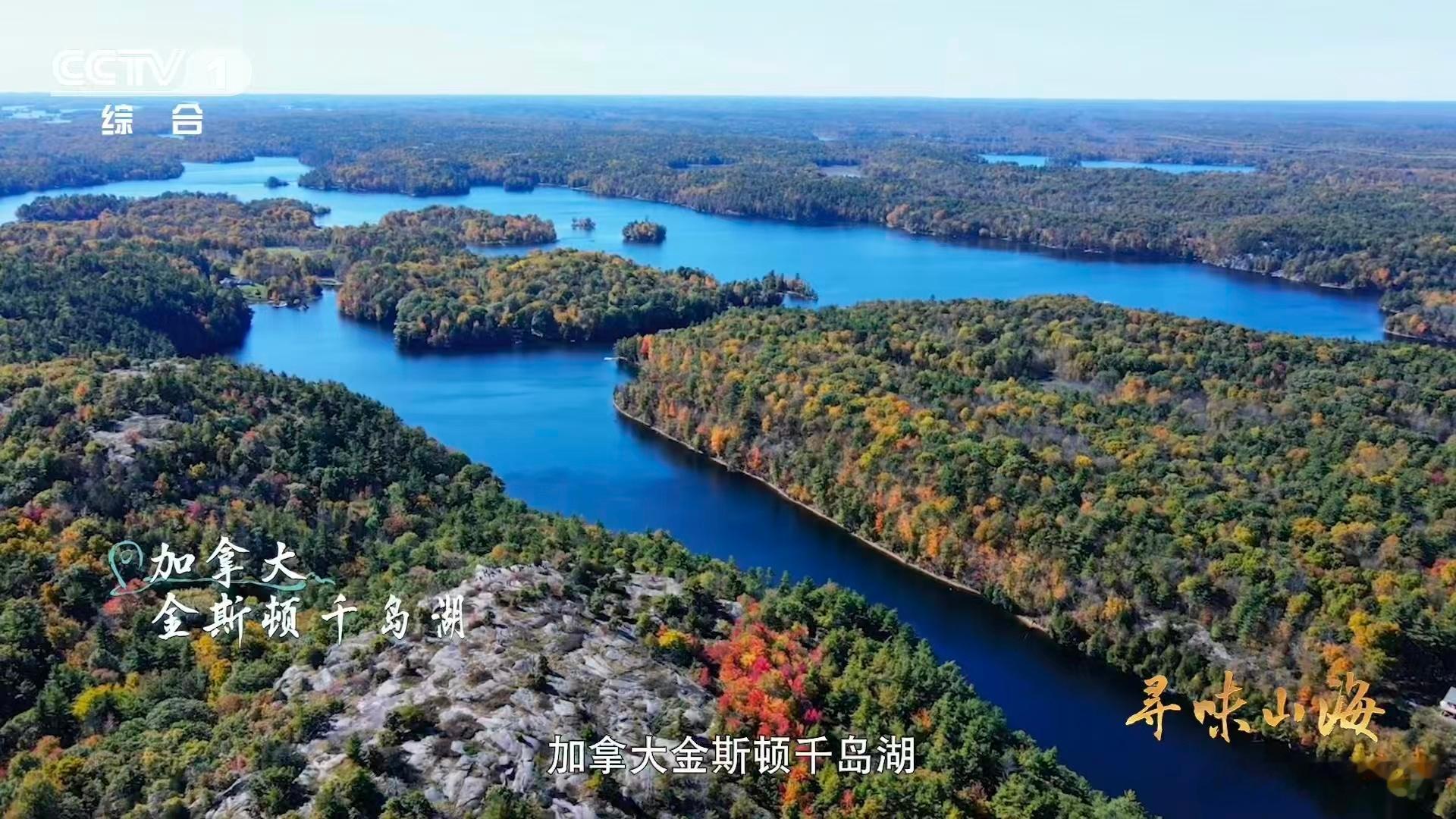 湖北有种会飞的牛肉第一次听说家禽界还有四不像，就是湖北的阳新屯鸟！似鹅非鹅、似鸭