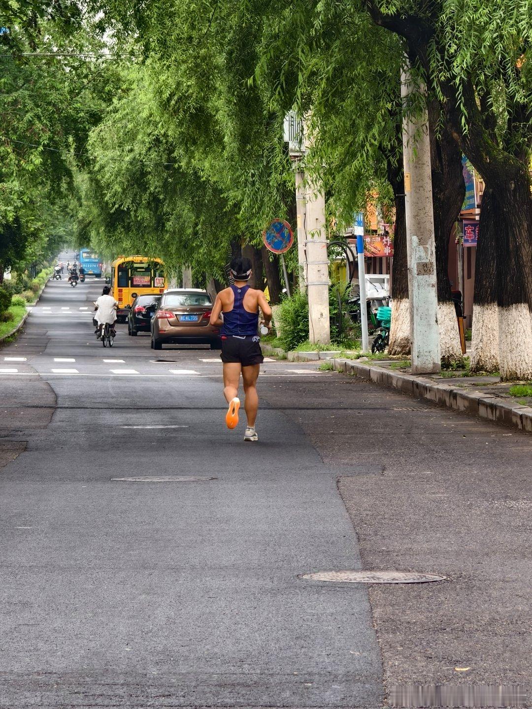 分享图片 