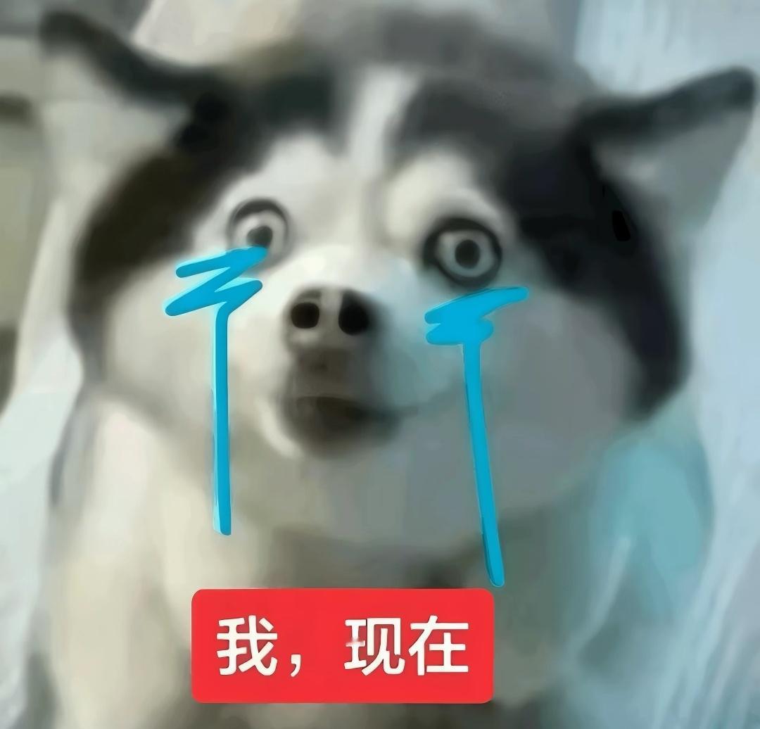 看完花少5了，我以后看什么下饭 ​​​