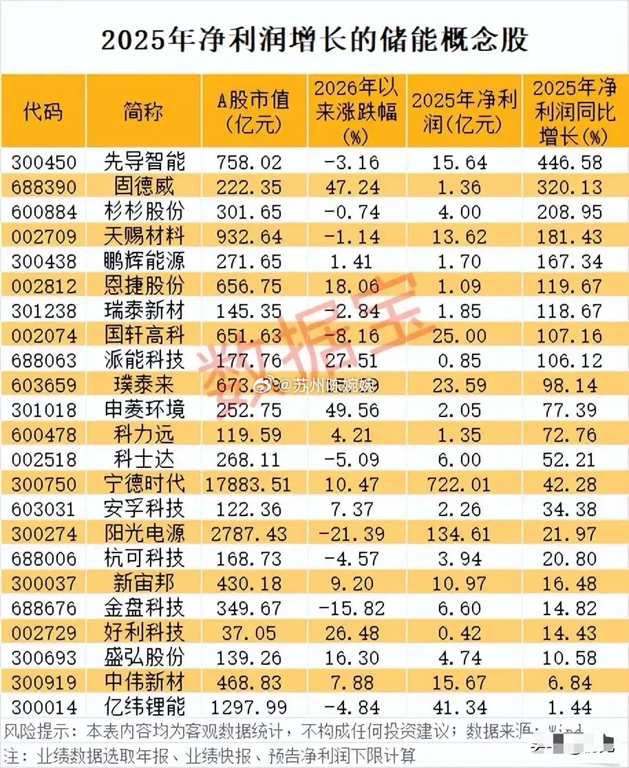 2025年净利润增长储能概念股解析！这些个股覆盖电池、材料、设备、逆变器、温控等