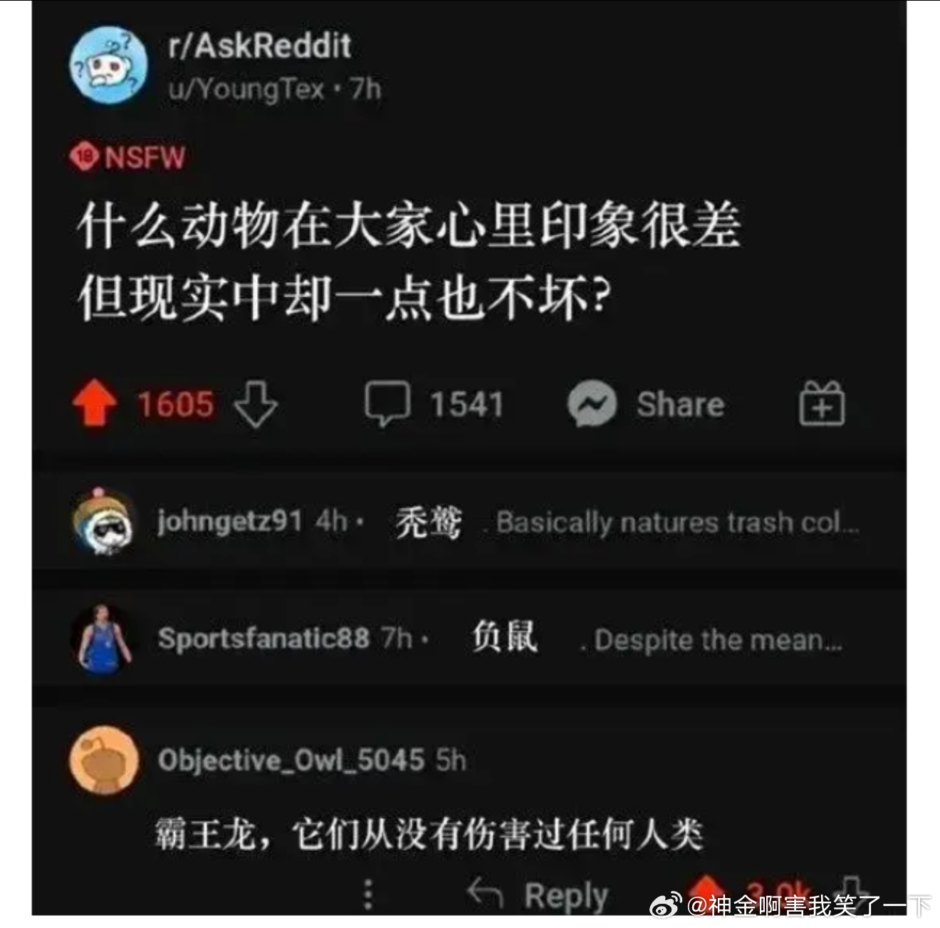 6886霸王龙还真没伤害过任何人😂 ​​​